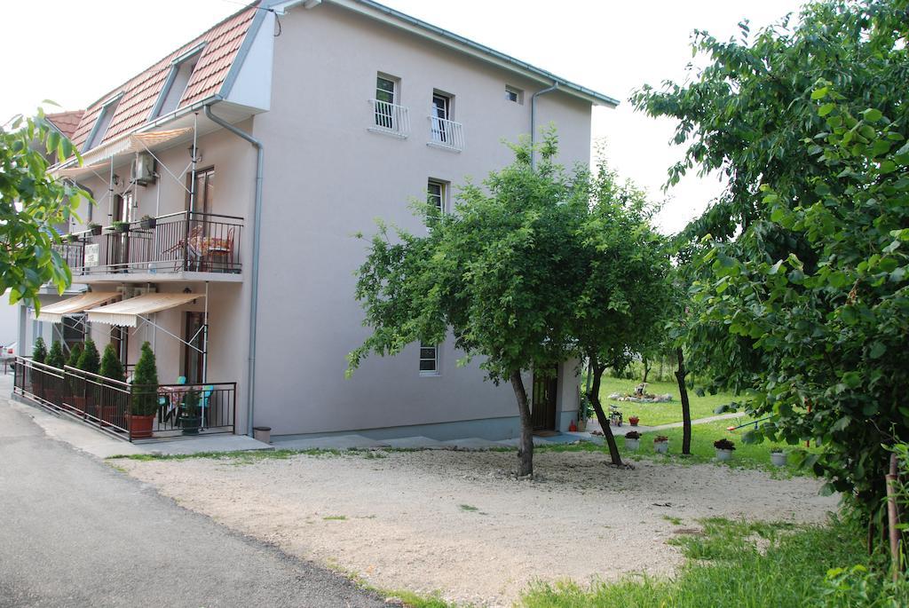 Hadzi * Soko Banja