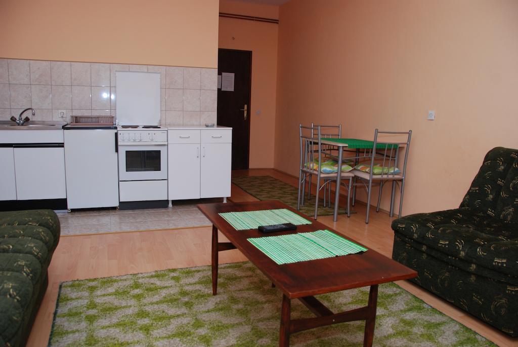 Hadzi Apartment Soko Banja